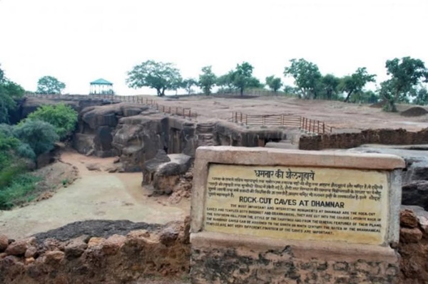 naidunia_image